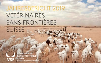 Das Jahr 2019 bei VSF-Suisse – im Jahresbericht schauen wir zurück auf unsere Arbeit