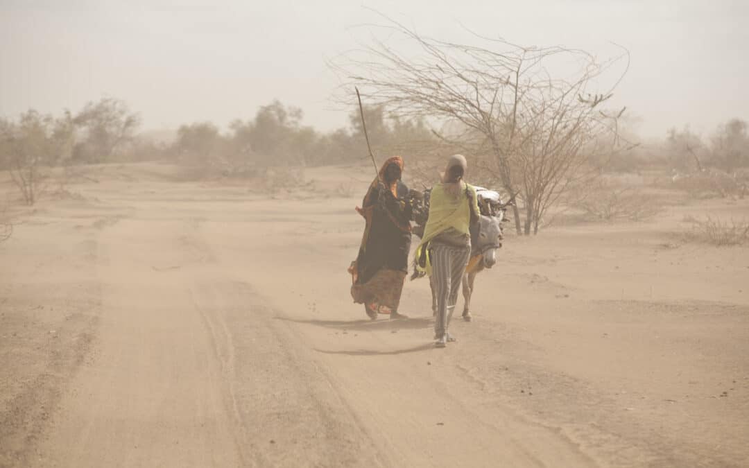 Dürre am Horn von Afrika verschärft sich weiter