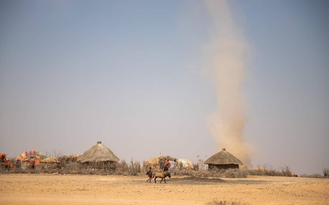 Update: Dürre und Ernährungskrise am Horn von Afrika
