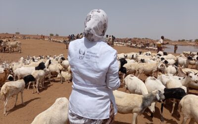 Working against drought and hunger in Ethiopia