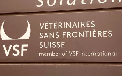 Become a member of VSF-Suisse/Kenya
