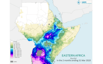 Langersehnter Regen führt zu Überschwemmungen am Horn von Afrika
