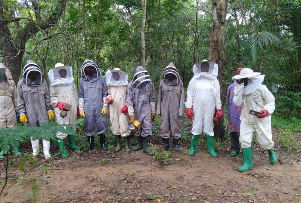 The Farmer Field School approach, implemented by the beekeepers of Goubi in Togo