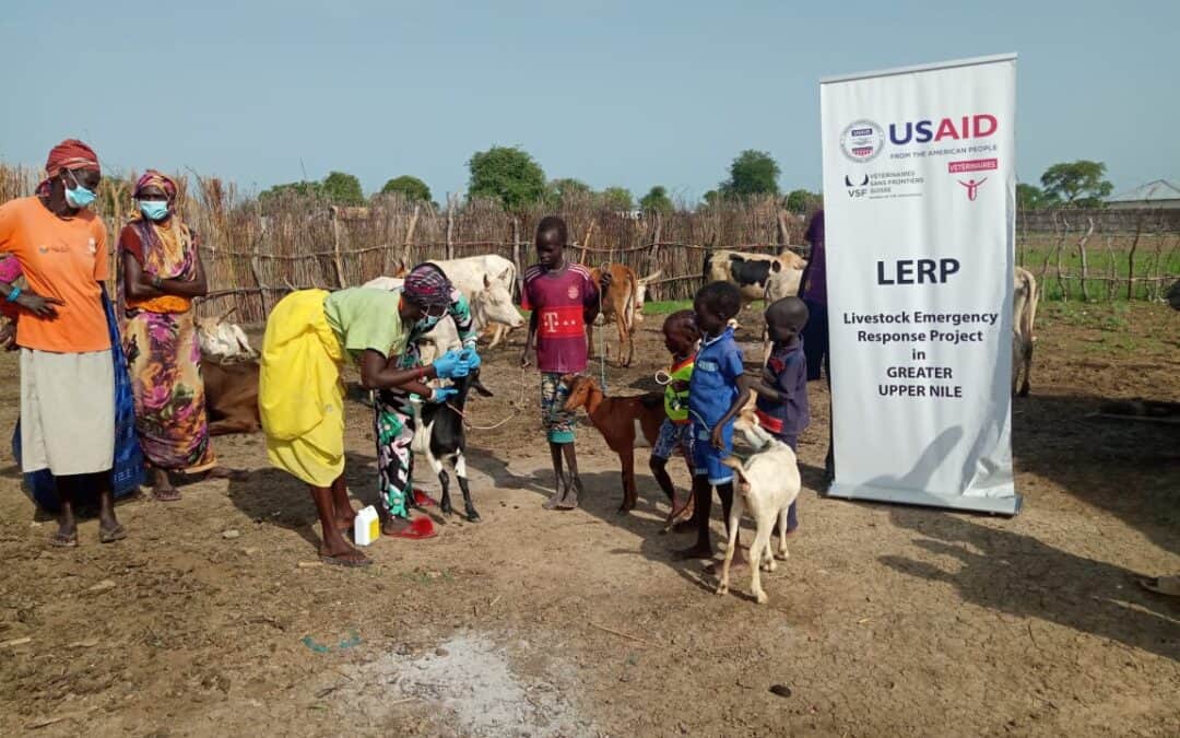 Les femmes agentes communautaires de santé animale au Soudan du Sud – une histoire à succès